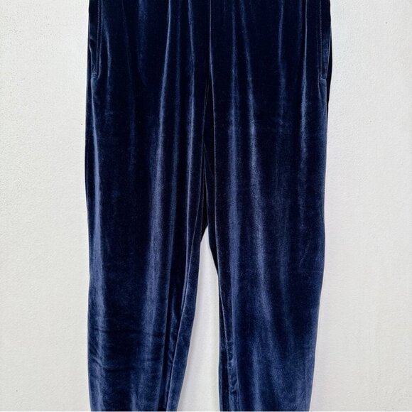 Fabletics Womens Xsmall Velour Blue Jogger - Picture 6 of 15